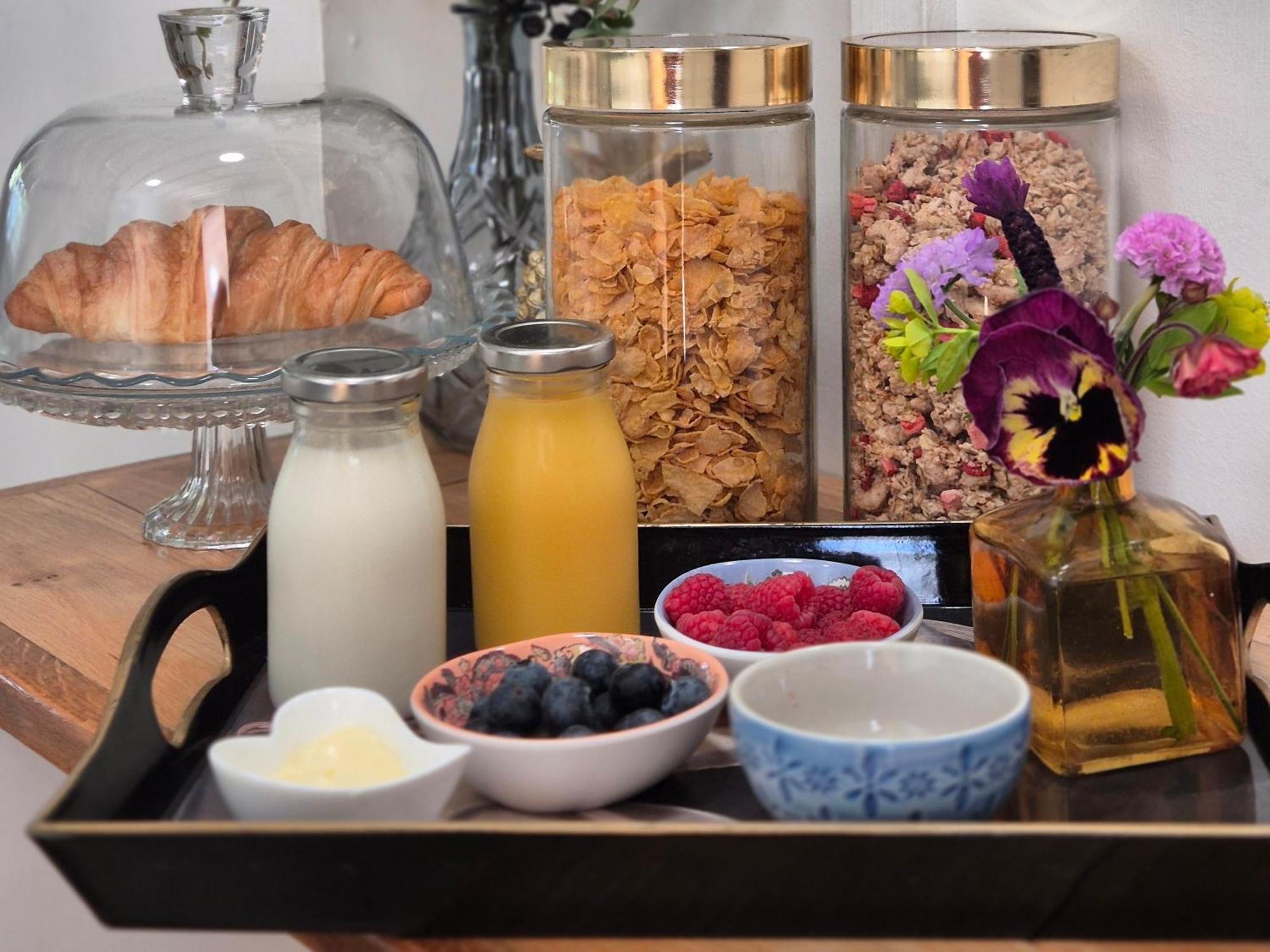 Owl Lodge نيوبورت باجنل المظهر الخارجي الصورة